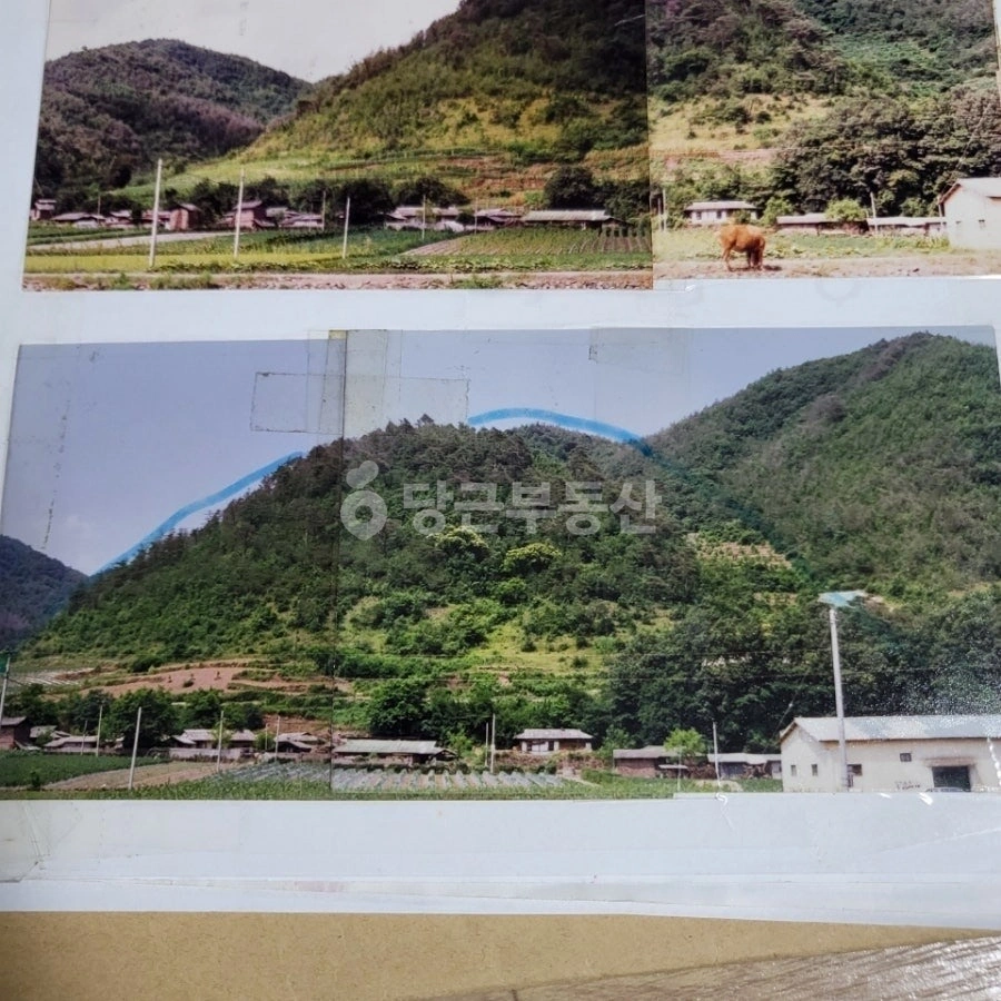 경상북도 영양군 청기면 토지 사진 1