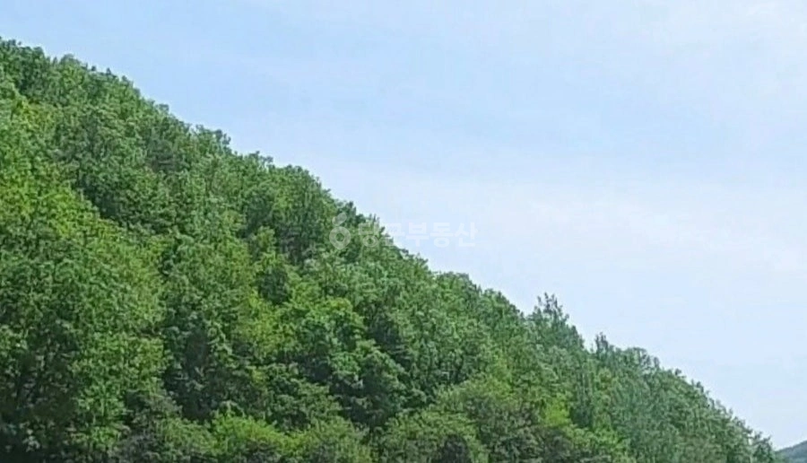 경상북도 의성군 안평면 토지 사진 1