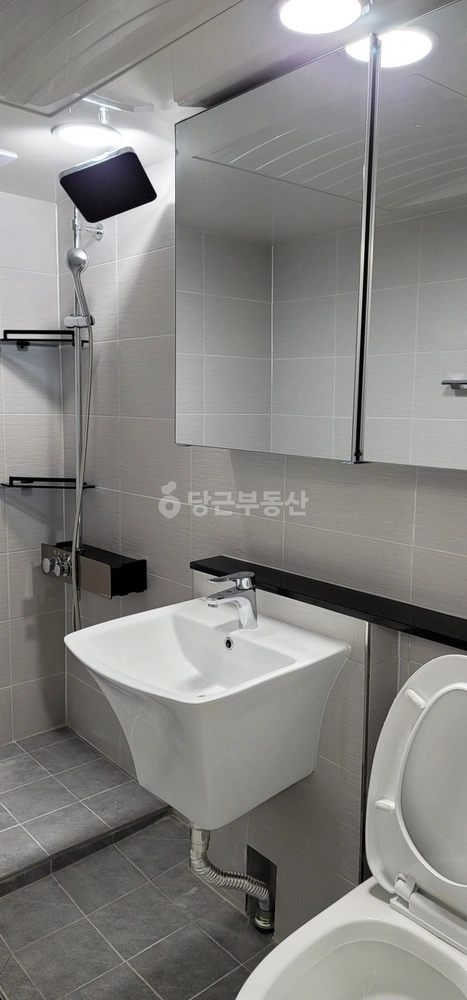 경기도 평택시 서정동 빌라(투룸 이상) 사진 1