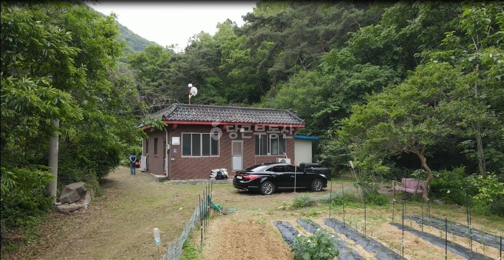 경상북도 고령군 성산면 토지 사진 1