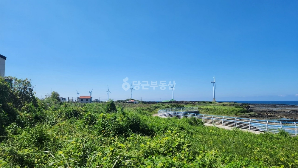 제주특별자치도 제주시 한경면 건물 사진 1