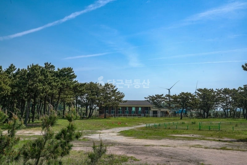전남광주통합특별시 영광군 염산면 상가 사진 1