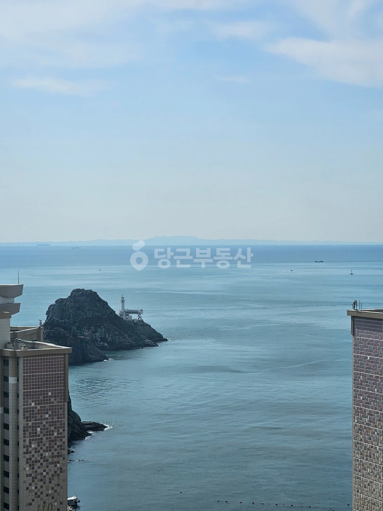 부산광역시 남구 용호동 아파트 사진 1