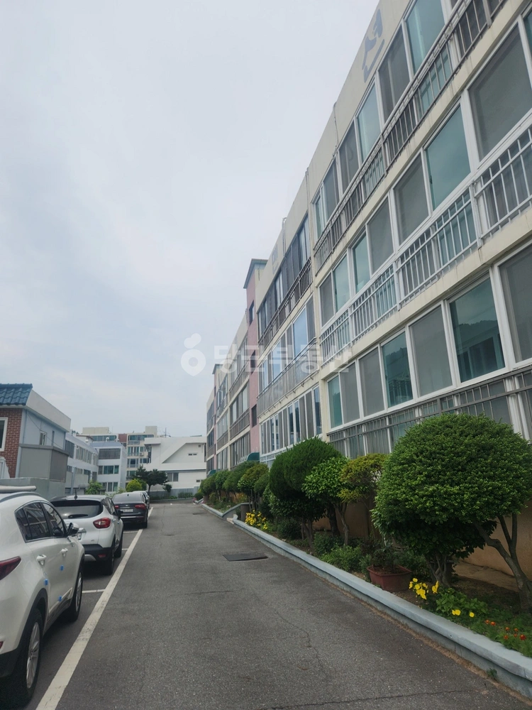 전남광주통합특별시 여수시 연등동 아파트 사진 1