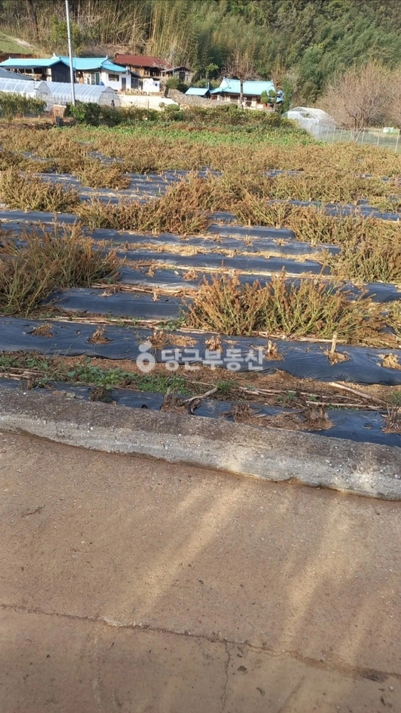 강원특별자치도 강릉시 옥계면 토지 사진 1