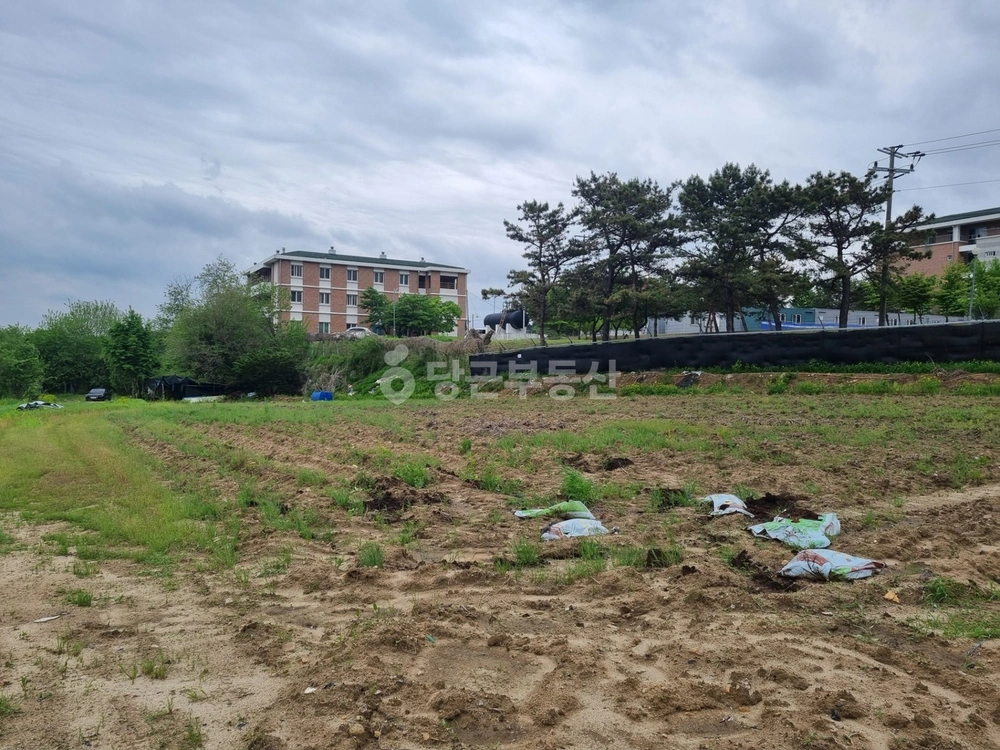 경기도 양주시 남면 토지 사진 1