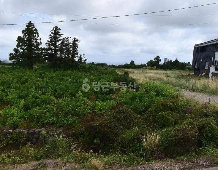 제주특별자치도 제주시 애월읍 토지 사진 1