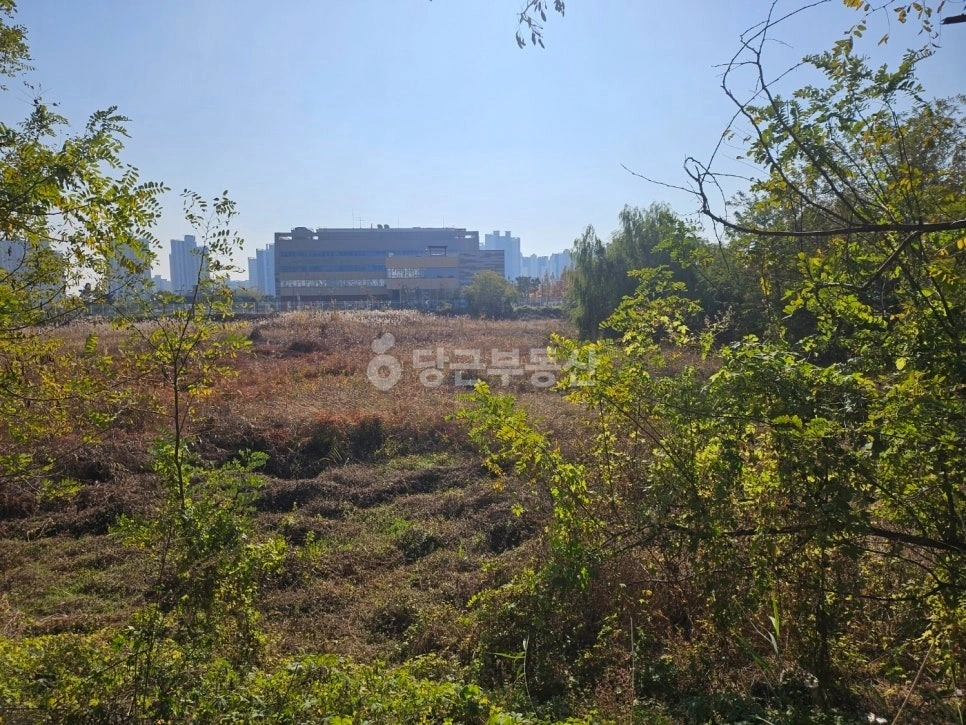 인천광역시 서해구 청라동 토지 사진 1