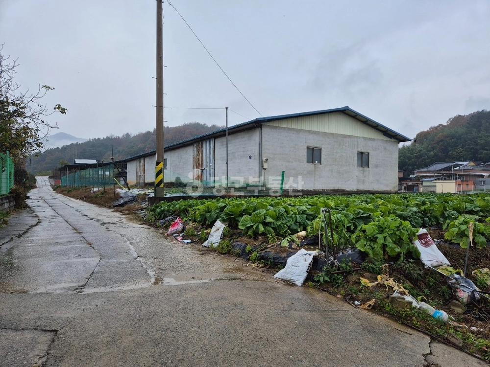 경상북도 구미시 옥성면 공장/창고 사진 1