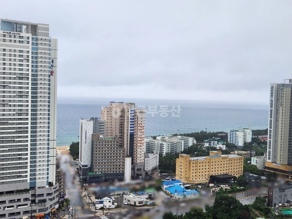강원특별자치도 속초시 조양동 원룸 사진 1