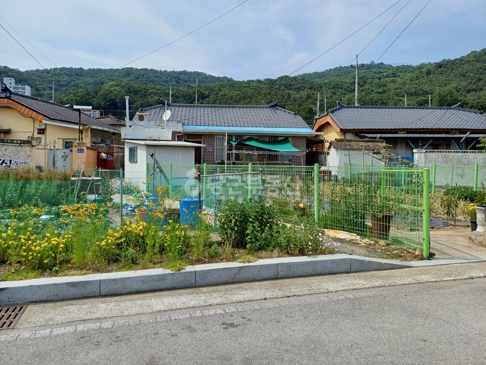 경상북도 칠곡군 왜관읍 단독/전원주택 사진 1