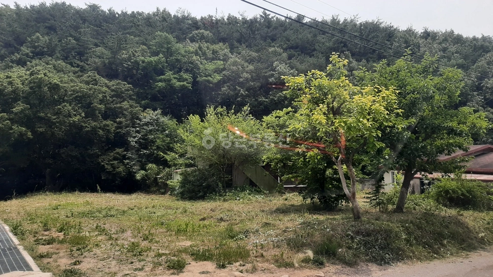 경상북도 포항시 북구 신광면 토지 사진 1