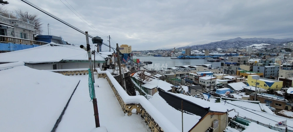 강원특별자치도 동해시 묵호진동 단독/전원주택 사진 1
