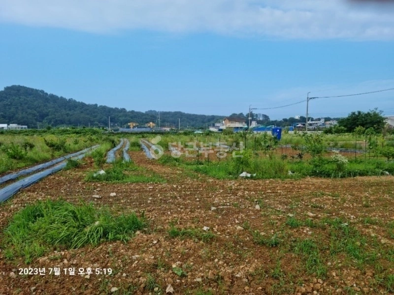 울산광역시 울주군 서생면 토지 사진 1