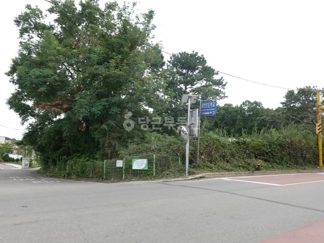 경기도 김포시 통진읍 토지 사진 1