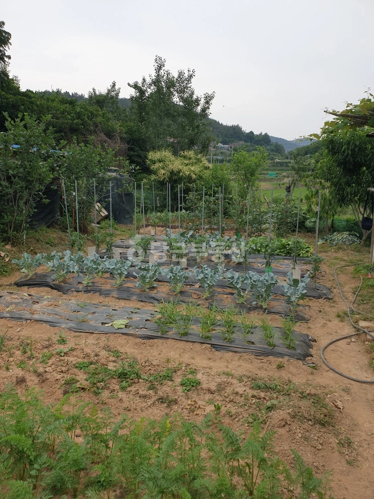 전남광주통합특별시 여수시 소라면 토지 사진 1