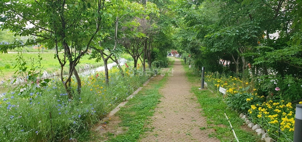 인천광역시 서해구 검암동 빌라(투룸 이상) 사진 1