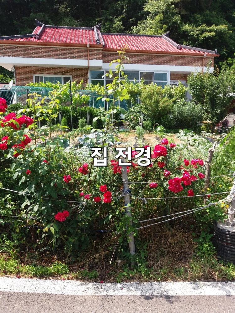 충청북도 단양군 적성면 단독/전원주택 사진 1