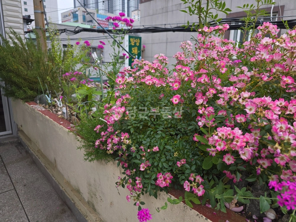 경상남도 창원시 마산회원구 양덕동 단독/전원주택 사진 1
