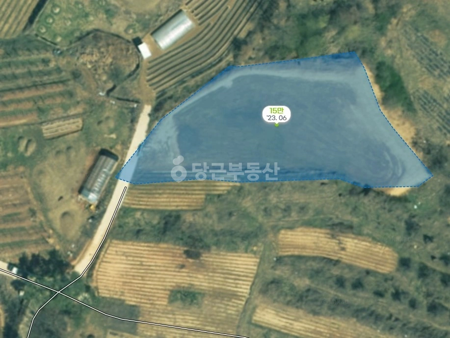 경상북도 의성군 비안면 토지 사진 1