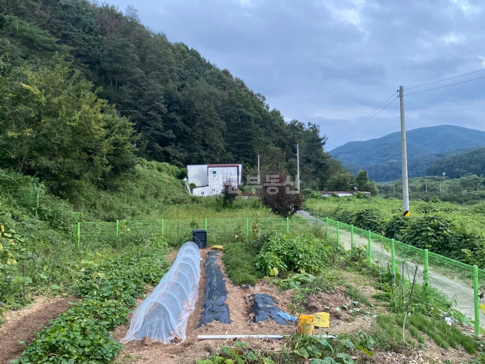 경상북도 청도군 풍각면 토지 사진 1