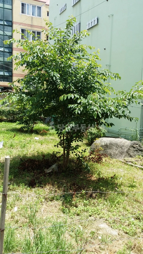 부산광역시 부산진구 전포동 토지 사진 1