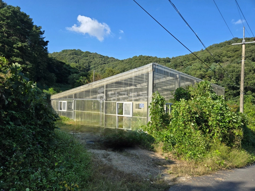 경기도 하남시 창우동 토지 사진 1