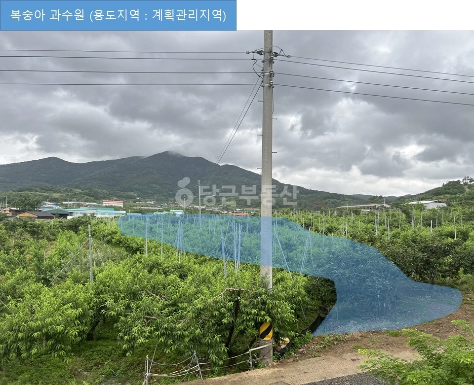 경상북도 청도군 청도읍 토지 사진 1