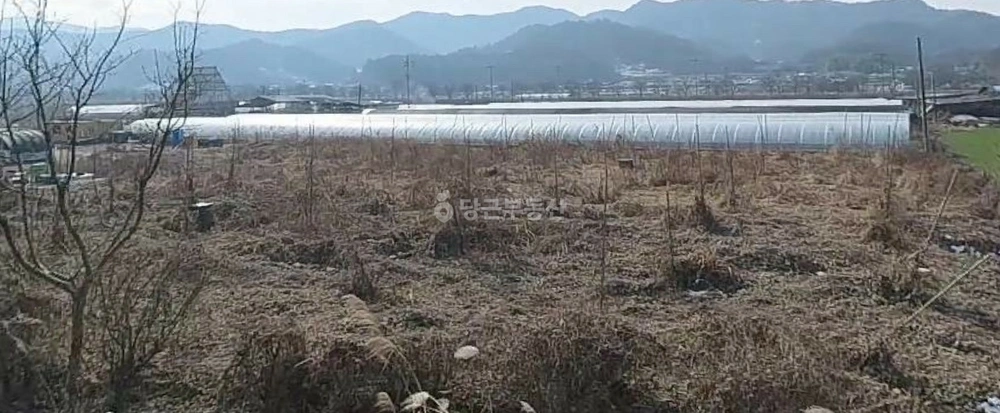 전남광주통합특별시 곡성군 겸면 토지 사진 1