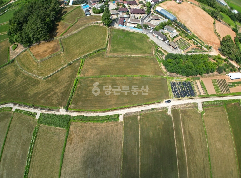 전남광주통합특별시 나주시 노안면 토지 사진 1