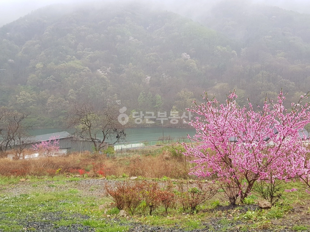 울산광역시 울주군 두서면 토지 사진 1