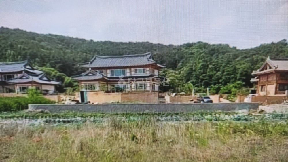 경기도 화성시 만세구 향남읍 토지 사진 1