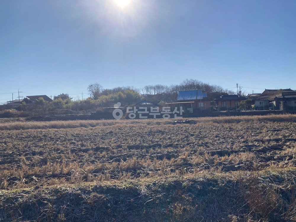 전북특별자치도 전주시 덕진구 남정동 토지 사진 1