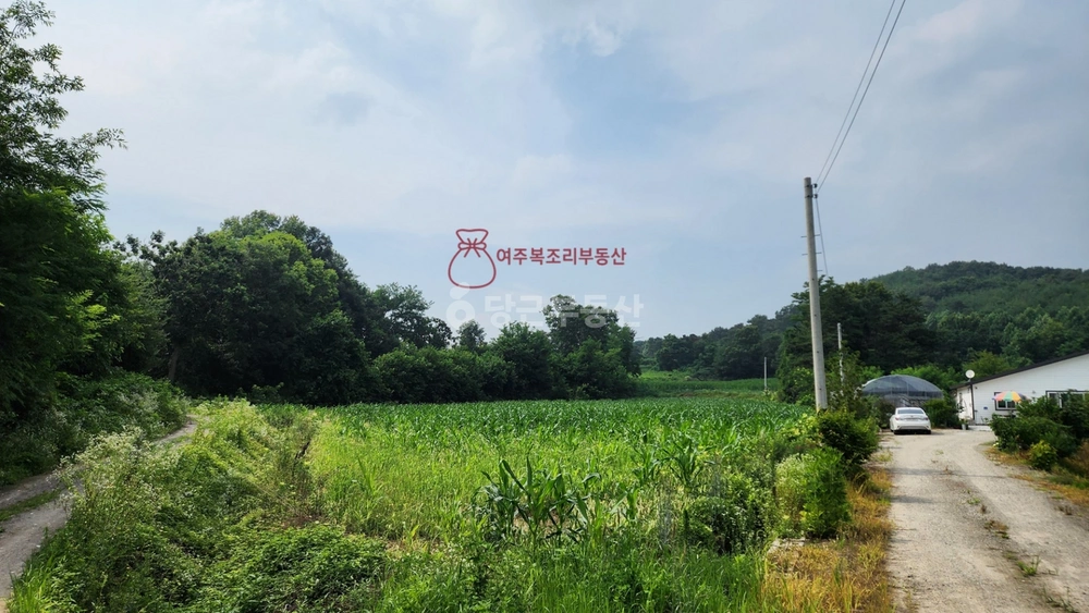 경기도 여주시 하거동 토지 사진 1