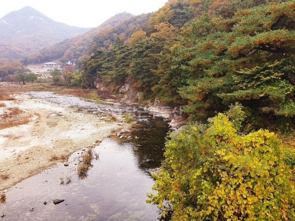 강원특별자치도 횡성군 서원면 단독/전원주택 사진 1