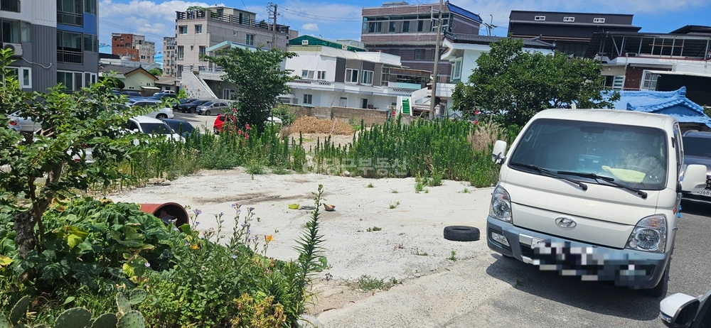 울산광역시 북구 양정동 토지 사진 1
