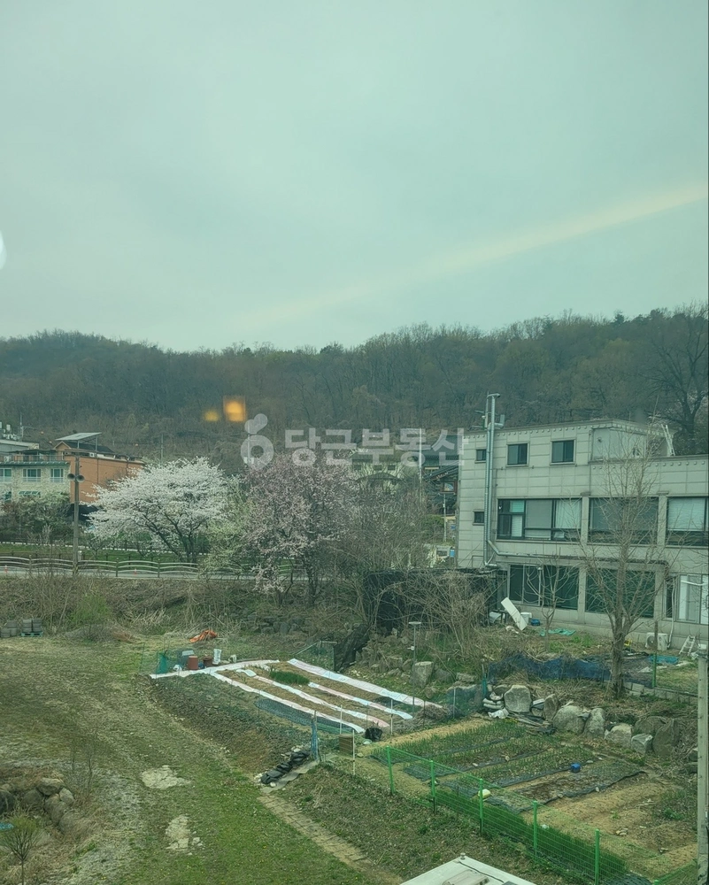 경기도 구리시 교문동 빌라(투룸 이상) 사진 1
