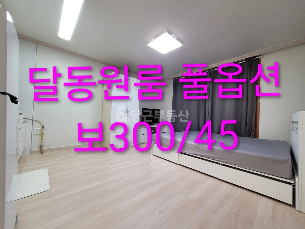 울산광역시 남구 달동 원룸 사진 1