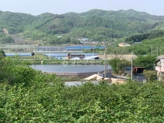 충청남도 부여군 은산면 단독/전원주택 사진 1