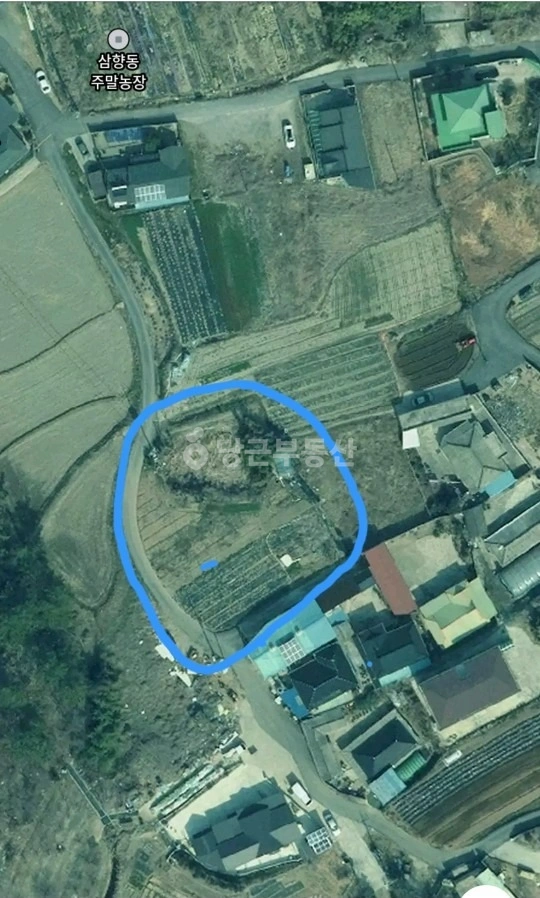 전남광주통합특별시 목포시 대양동 토지 사진 1