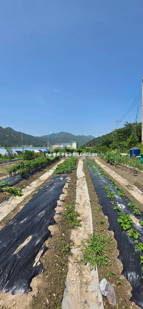 경상남도 양산시 원동면 토지 사진 1