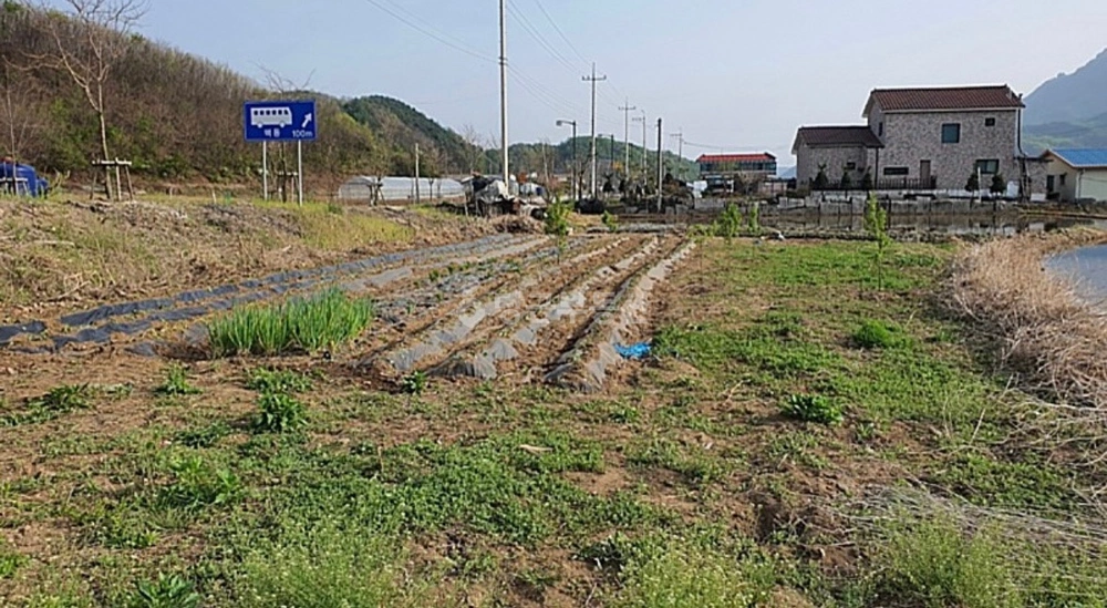 경기도 포천시 관인면 토지 사진 1