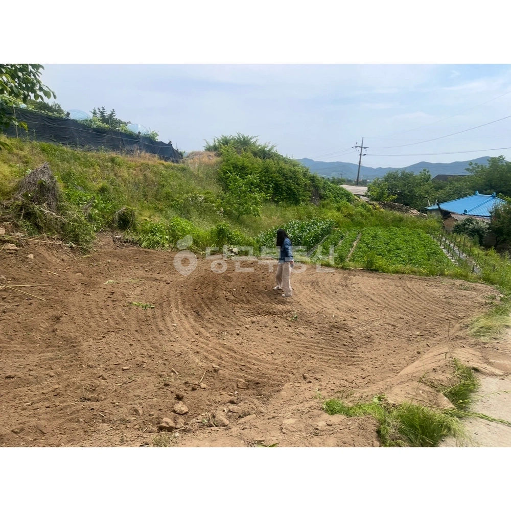 경상북도 상주시 모동면 토지 사진 1