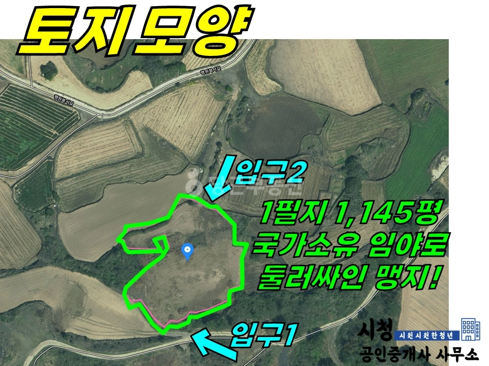 제주특별자치도 제주시 구좌읍 토지 사진 1