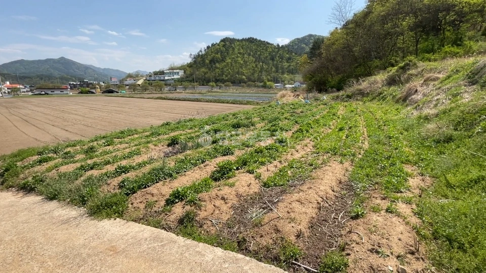 전남광주통합특별시 곡성군 오산면 토지 사진 1