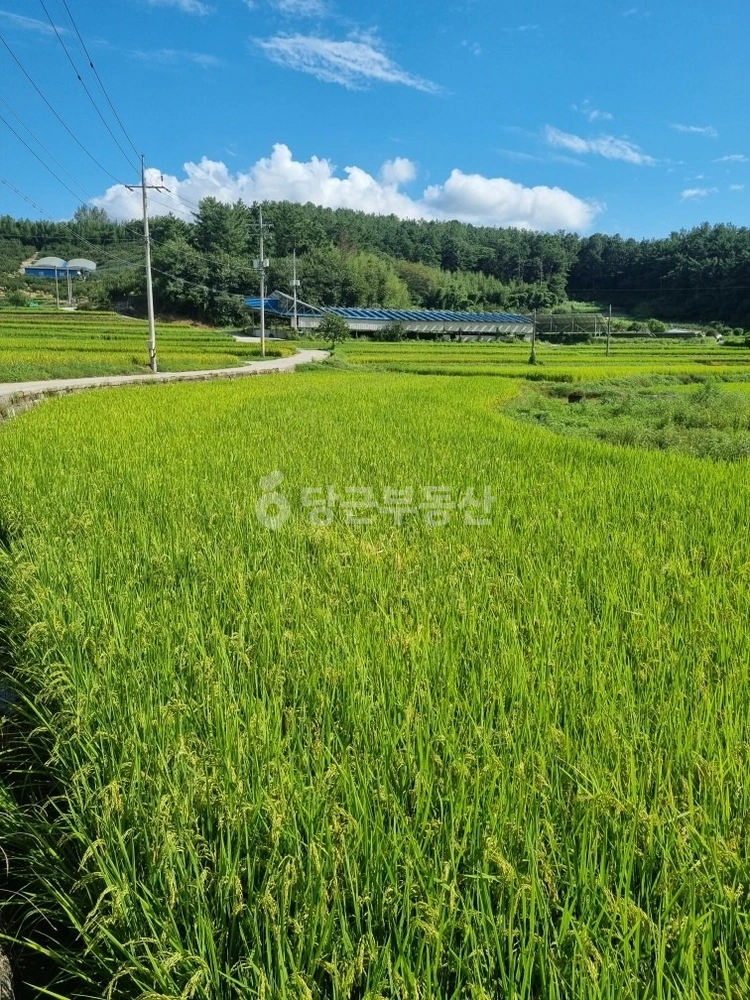 전남광주통합특별시 순천시 주암면 토지 사진 1