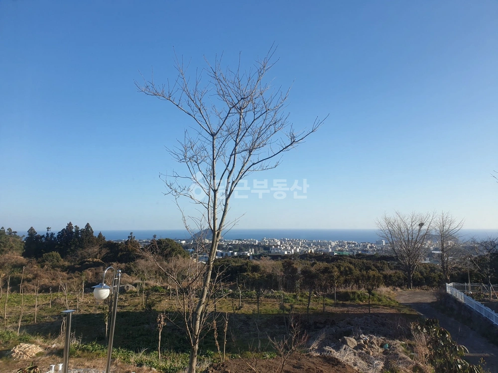 제주특별자치도 서귀포시 동홍동 빌라(투룸 이상) 사진 1