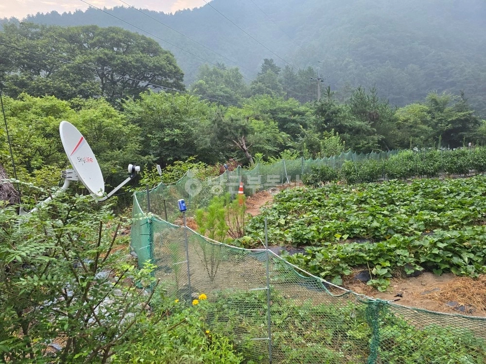 강원특별자치도 횡성군 청일면 토지 사진 1