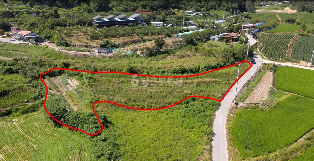 경상북도 칠곡군 기산면 토지 사진 1