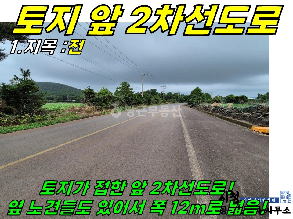 제주특별자치도 제주시 구좌읍 토지 사진 1